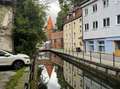IMG 9294 (Medium)